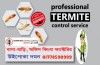 Termite Control /উইপোকা দমনের সার্ভিস